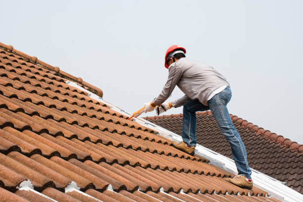  Rio Linda, CA Roofing service Pros